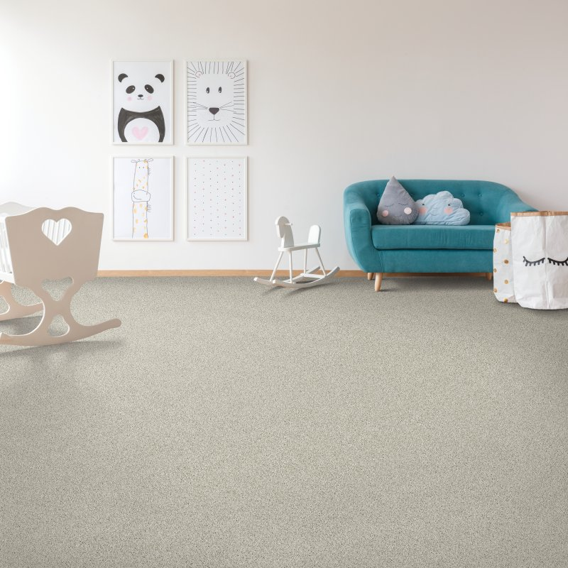 Expressive Flooring providing stain-resistant pet proof carpet in Peachtree, GA - Tender Moment II -Dune