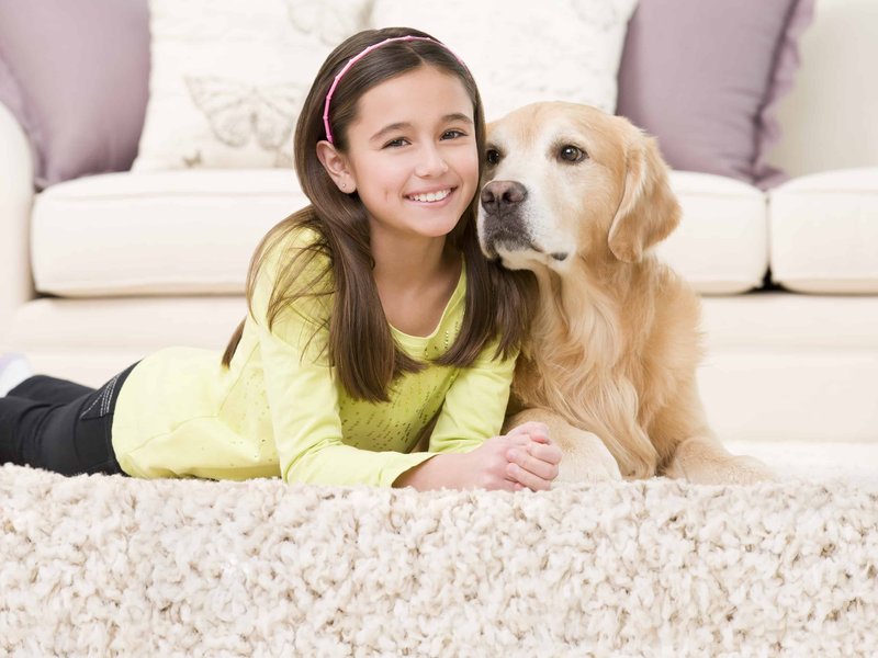 Expressive Flooring | Mohawk Quality Carpet  | Peachtree City and Fayetteville, GA